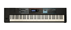Roland Juno DS88 Sintetizzatore a 88 tasti pesati