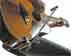 Strumenti Musicali a Prezzi Speciali