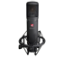 sE electronics se2200 a II C