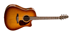 Seagull Entourage Rustic CW QI