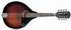 stagg_m30_mini