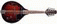 stagg_m50e_mini
