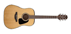 Takamine GD10NS