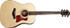 taylor_110e_mini