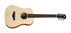 Taylor Baby 305 bt1
