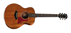 Taylor GS Mini