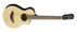 Chitarra Acustica Yamaha APXT2