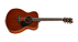 Chitarra Yamaha FS850 NT