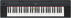 Tastiera Digitale Yamaha NP12