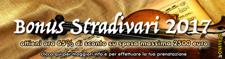 Bonus Stradivari 2017 - oltre 1500€ di sconto sugli acquisti di strumenti musicali