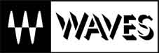 logo_waves_big