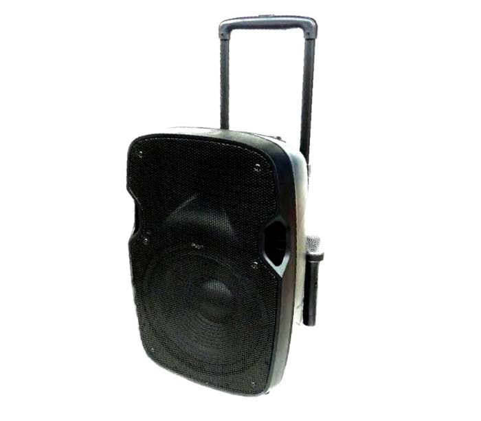 audiodesign pax12wl cassa amplificata a batteria