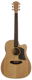 Chitarra Cole Clark CCFL1AC-BB