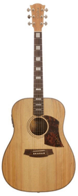 Chitarra Cole Clark CCFL2A3