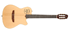 GODIN Multiac Nylon Duet Ambiance