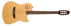 GODIN Multiac Nylon Encore SG