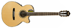 Ibanez AEG10NE NT