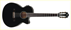 Ibanez AEG10NII BK