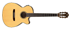 Ibanez AEG10NII NT