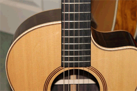 Chitarra Lowden 32SE Stage Edition