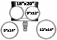 Pdp by Dw Concept Set Pearlescent White 20"