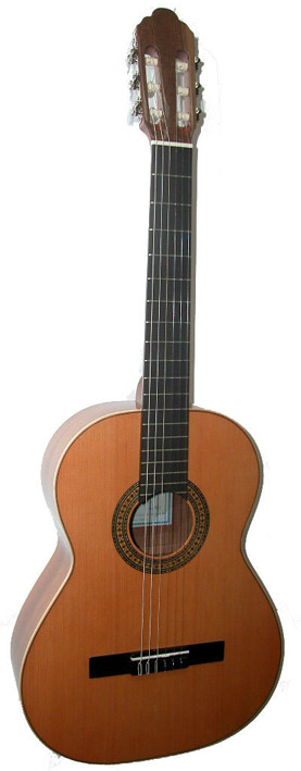 chitarra classica privada p1
