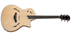 Taylor T5S